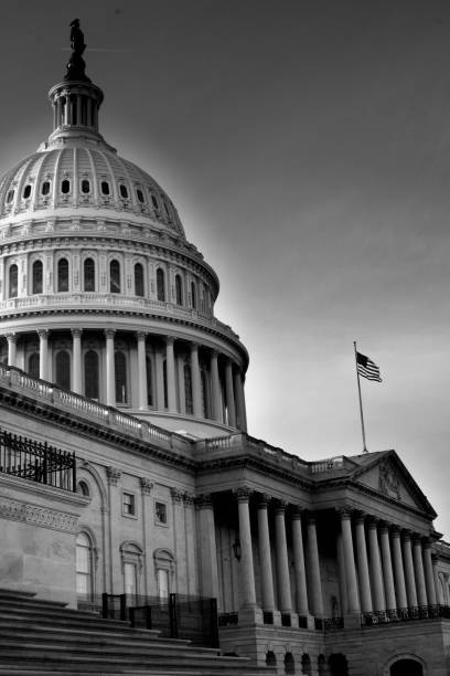 istock 2020 Presidential Election 1286396594