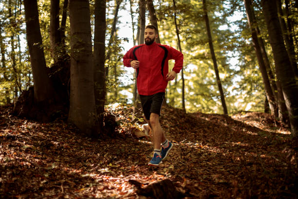 istock Young athletic man jogging in the forest 1286401484