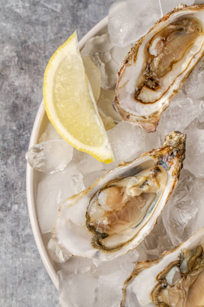 istock Fresh raw oysters on ice with lemon 1286403865