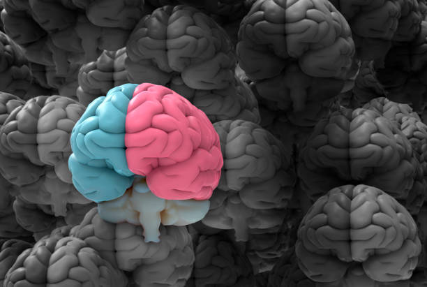 istock 3D rendering illustration colorful brain and black and white brains 1286406290