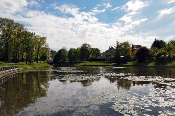 istock City pond covered with water lilies at spring day 1286408424