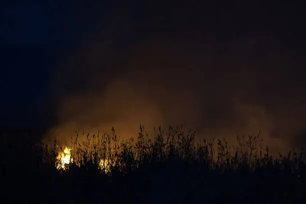 Photo of Dry grass burns at night. Pastures and meadows in the countryside. An environmental disaster involving irresponsible people. Magnificent mystical night landscapes shot on a 300mm lens.