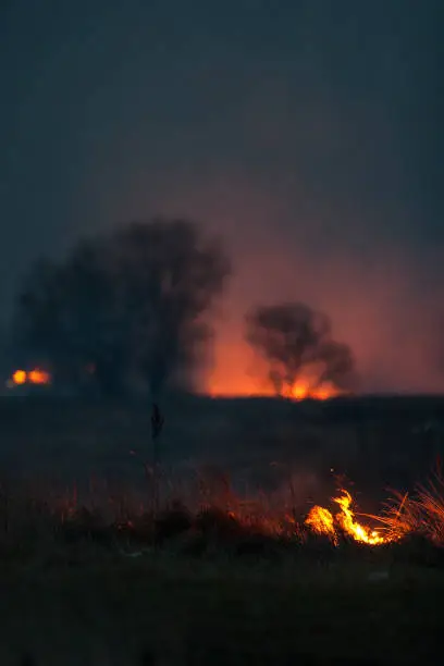 Photo of Dry grass burns at night. Pastures and meadows in the countryside. An environmental disaster involving irresponsible people. Magnificent mystical night landscapes shot on a 300mm lens.