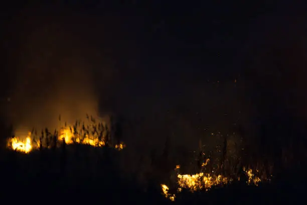 Photo of Dry grass burns at night. Pastures and meadows in the countryside. An environmental disaster involving irresponsible people. Magnificent mystical night landscapes shot on a 300mm lens.