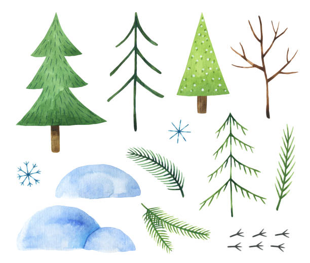 aquarell-set von stilisierten tannenbäumen, schneeverwehungen, tannenzweige, schneeflocken und niedlichen vogelspuren - bush bird tree wood stock-grafiken, -clipart, -cartoons und -symbole