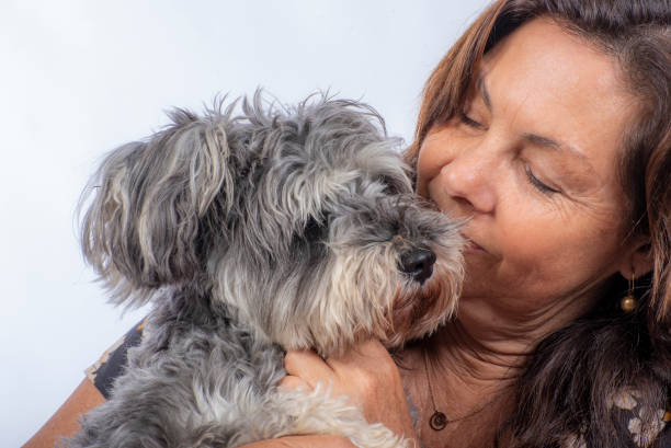 istock Woman has a cuddle with her Schnauzer dog 1286412605