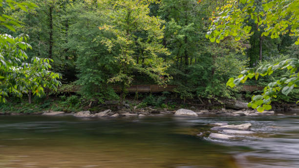istock Green trees create a canopy over a wooden bridge a long side a shallow river. 1286414881