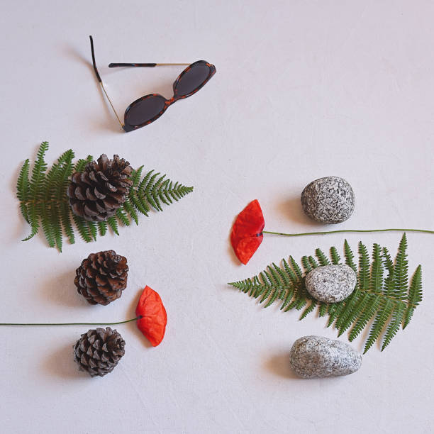 Background with organic forest textures, stones, pine cones and flowers. Copy space, selective focus