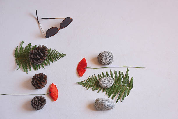 istock Background with organic textures, river stones, pine cones and poppy. Copy space, selective focus 1286419421