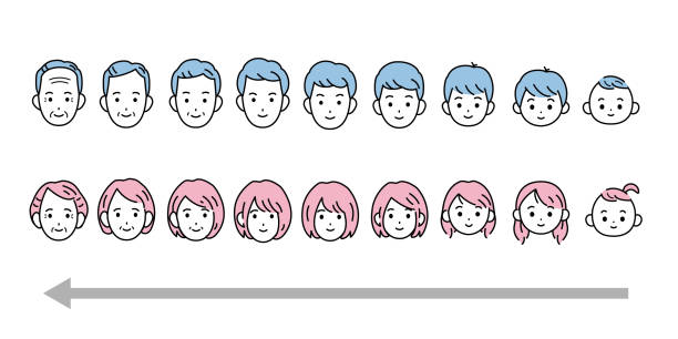 Human growth illustration It is an illustration of a Human growth life stage. age diversity stock illustrations