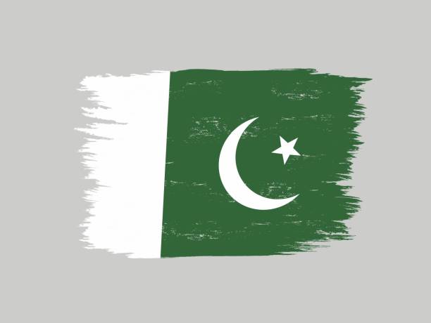 Withered effektivitet Observatory 100+ Clip Art Of Pakistani Flag Illustrations, Royalty-Free Vector Graphics  & Clip Art - iStock