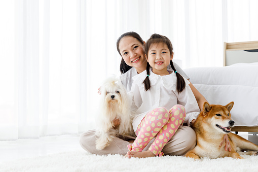Happy Asian mother and daughter sitting on bedroom floor with Maltese and Shiba Inu.