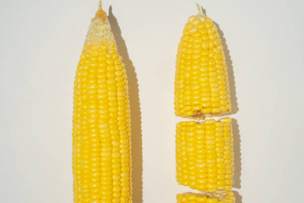 istock A pieces of corn on white background 1286451091