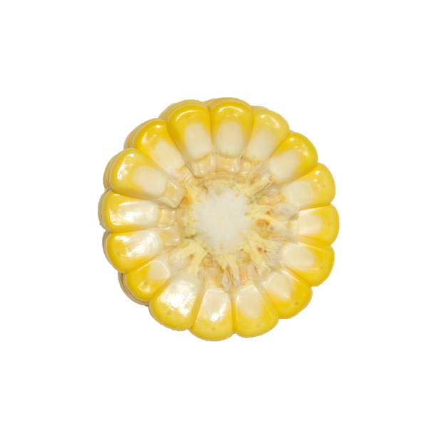 istock A pieces of corn on white background 1286451103