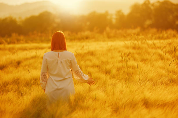istock Walking away, touching wheat crop 1286457037