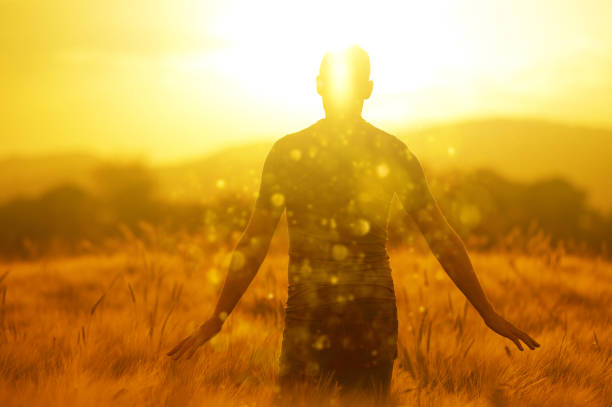 Rear view of man with arms in the air in the agricultural wheat field feeling free and happy at sunset