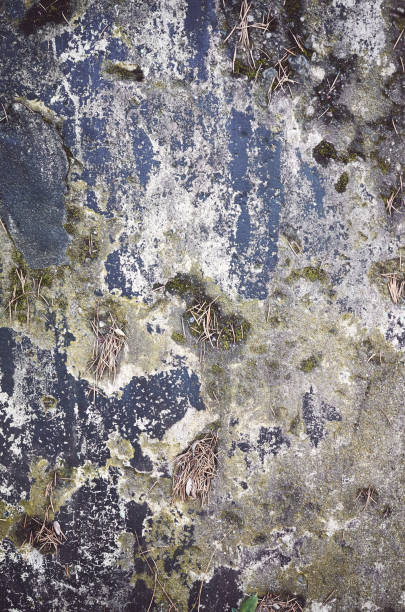 istock Grunge background made of stained weathered concrete wall. 1286458228