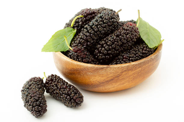 fondo fresco y maduro de moras - blackberry fruit mulberry isolated fotografías e imágenes de stock