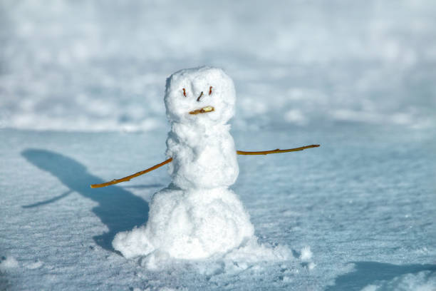 Winter scene