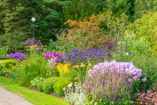 istock Gothenburg Botanical garden flowerbeds 1286463376