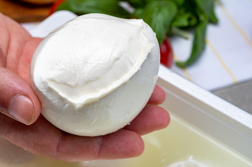 Cheese maker holding in hand fresh soft Italian cheese from Campania, white balls of buffalo mozzarella cheese made from cow milk in container with water close up
