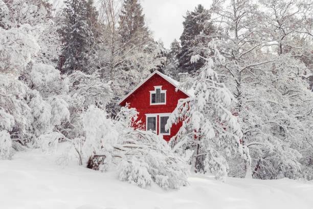 冬の雪の森の中の赤い家。 - sweden cottage winter snow ストックフォトと画像
