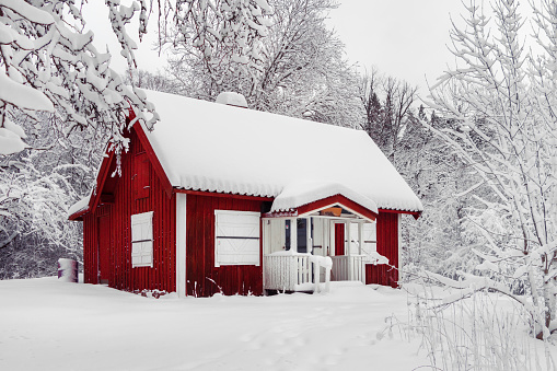 Beautiful red wooden house in snow fairy forest Sweden. House painted in traditional Swedish color. Winter scenery with red cottage surrounded by trees covered with snow and frost. Space for your text