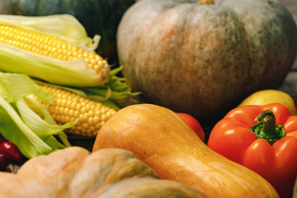 Close up photo of vegetables pumpkins and corn cobs