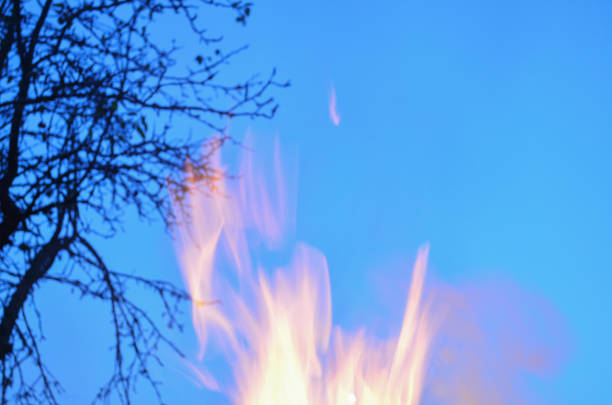 Tongues of fire on evening sky background. Burning firewood in a fire. Bright fire. Tongues of flame of orange color.