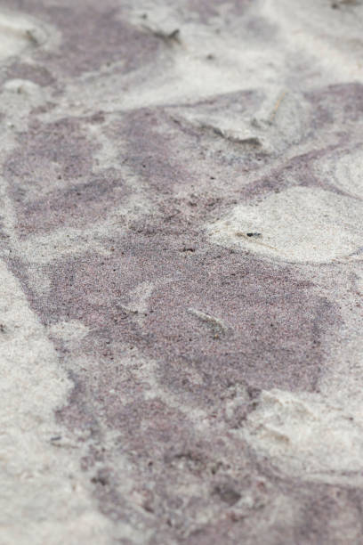 istock Texture of sea sand. 1286479695