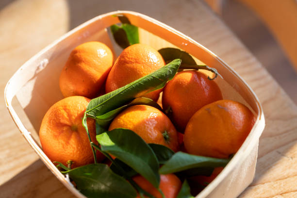 2.800+ Fotos, Bilder und lizenzfreie Bilder zu Satsuma Fotos iStock