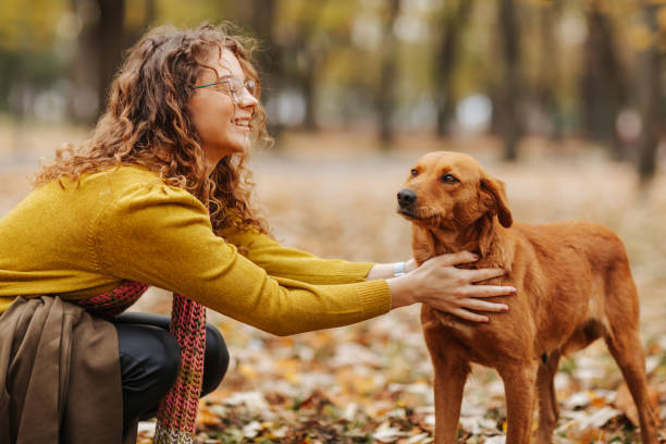 istock Enjoying time together in autumn park 1286480827