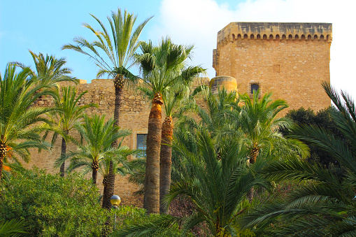 Elche, Alicante, Spain- November 18, 2020:Altamira palace surrounded by palm trees and vegetation in the morning in Elche, Alicante