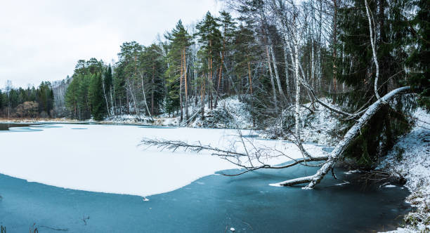 istock Small beautiful pond in the snow forest. Selective focus. Winter landscape. 1286486350