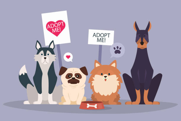 Adopt a pet concept Vector illustration Adopt a pet concept Vector illustration. pets and animals stock illustrations