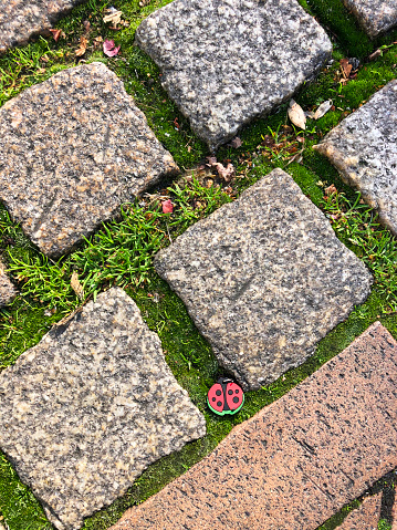 Stock photo showing elevated view of weathered grey granite set square block pavers with green moss growing between the pavers.