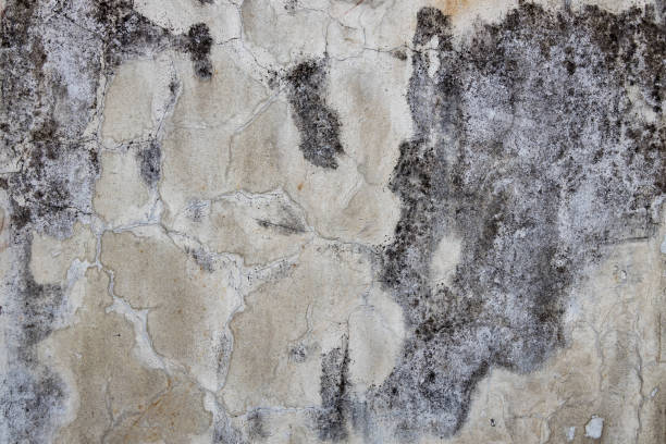 istock Textured background of old dirty walls 1286495251