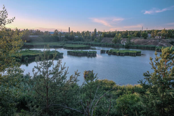 istock Summer sunset landscape with swamp lake and forest. 1286495480