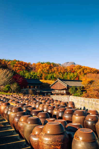 tongdosa temple seowoonam à l’automne à yangsan, corée - crock pot photos et images de collection