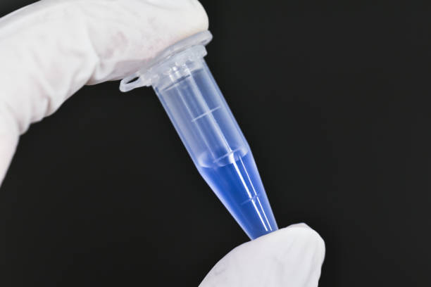 istock Test tubes for medial check 1286504499