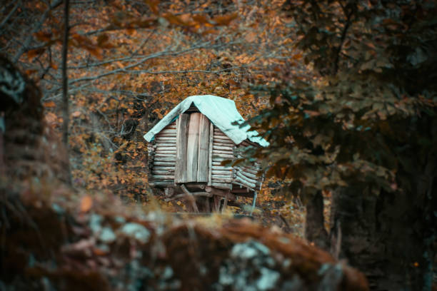 istock Winter and autumn in mountains 1286510402