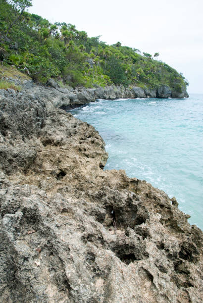 istock Jamaica's Rocky Coastline 1286511193