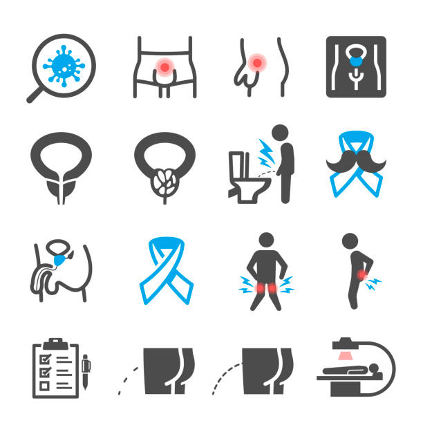 Prostatitis, symptoms bold black silhouette and line icons set isolated on white. Prostatitis, symptoms bold black silhouette and line icons set isolated on white. Prostate inflammation, pain pictograms collection. Urination problems, treatment vector elements for infographic, web. prostate gland stock illustrations