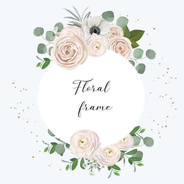 rose, anemone, ranunculus, chamelaucium, pink flowers and decorative eucaliptus leaves greeting floral frame design concept rose, anemone, ranunculus, chamelaucium, pink flowers and decorative eucaliptus leaves greeting floral frame design concept buttercup family stock illustrations