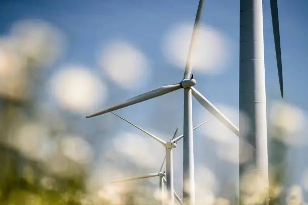 Large wind turbine in a wild field of Daisy flowers in the English countryside panoramic