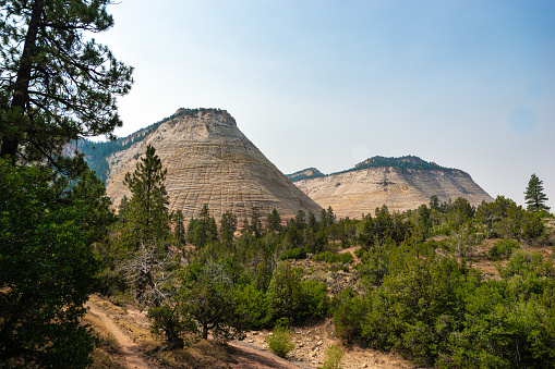 Checkerboard Mesa in Zion National Park in Utah, USA