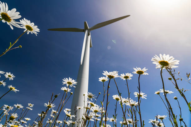 turbina eolica in un prato selvaggio - england field autumn season foto e immagini stock