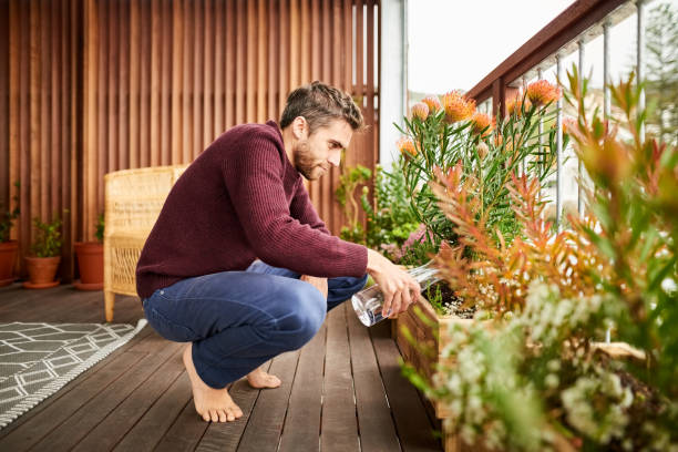 Man taking care of the plants Young man giving water to plants in the balcony of his house pouring water from bottle stock pictures, royalty-free photos & images