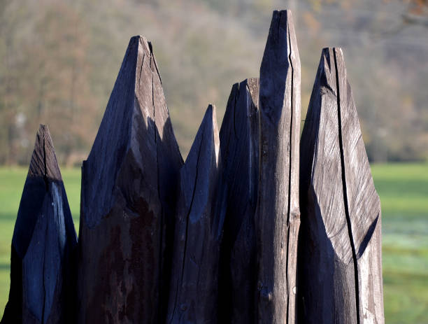 obstacle against enemies from sharp pointed poles on a Slavic fort taken from the Celts. the disadvantage was the danger of igniting such a wall. however, it was cheap and made of available wood