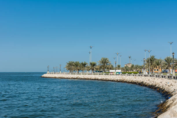 Blue sea and green date palm trees in the corniche park in Dammam, Saudi Arabia Blue sea and green date palm trees in the corniche park in Dammam, Saudi Arabia dammam stock pictures, royalty-free photos & images